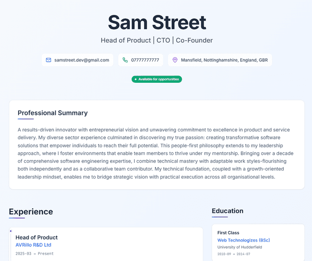Contemporary CV template preview